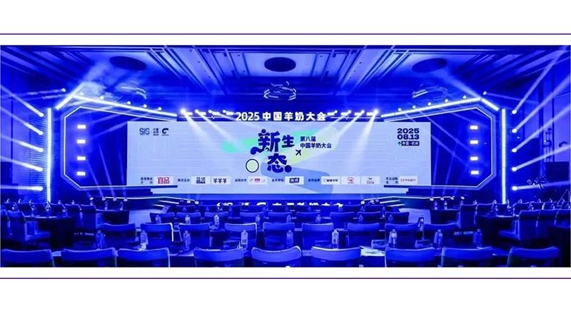 爆了！羊羊羊|贝提力双奖落袋！15年死磕"小而美"，这次终于藏不住了？